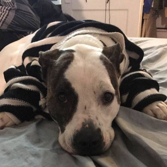 Meet your Posher, Brittney - Picture 1 of 1